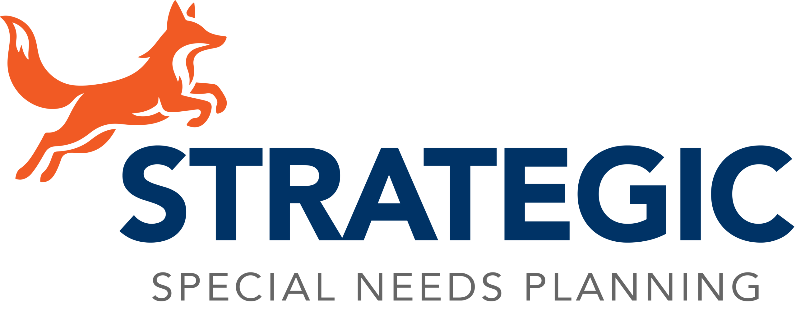 STRATEGIC SPECIAL NEEDS PLANNING